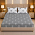 Ash Bloom King Size Bedsheet Set (1 Bedsheet, 2 Pillow Covers)