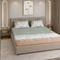 Night Bloom Sage Apricot Double Bedsheet Set (1 Bedsheet, 2 Pillow Covers)