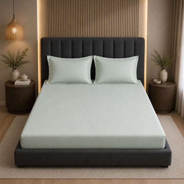 300TC Solid 100% Pure Cotton King Bedsheet Set (1 Bedsheet, 2 Pillow Covers), Olive