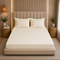 300TC Solid 100% Pure Cotton King Bedsheet Set (1 Bedsheet, 2 Pillow Covers), Ivory
