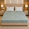 Petal Vine King Size Bedsheet Set (1 Bedsheet, 2 Pillow Covers)