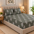 Emerald Botanica 100% Cotton King Size Bedsheet Set (1 Bedsheet & 2 Pillow Covers)