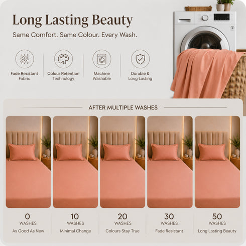 300TC Solid 100% Pure Cotton King Bedsheet Set (1 Bedsheet, 2 Pillow Covers), Sunset Apricot