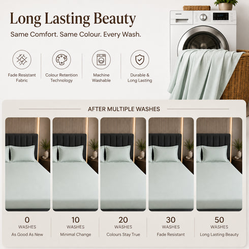 300TC Solid 100% Pure Cotton King Bedsheet Set (1 Bedsheet, 2 Pillow Covers), Olive